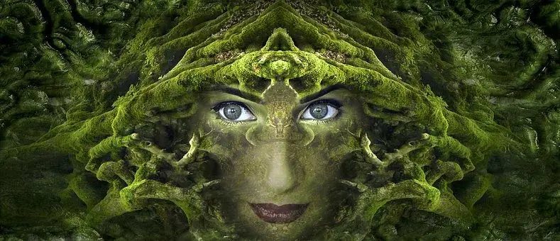 Мифы о системе Рейки. Природа энергии Рейки